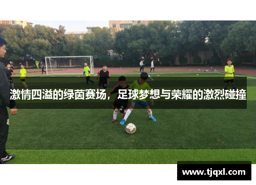 激情四溢的绿茵赛场，足球梦想与荣耀的激烈碰撞